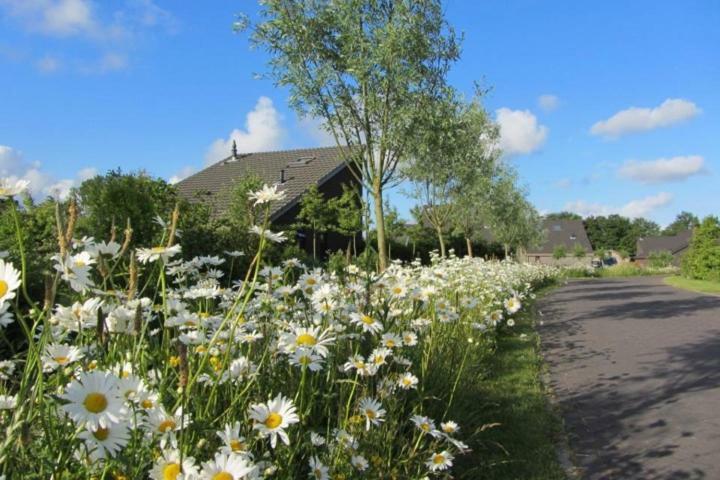 Bergen Holiday Home Schoorl Buitenkant foto